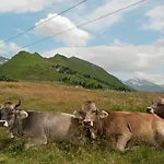 Holiday home Lovely Chalet In Mayrhofen With Private Garden