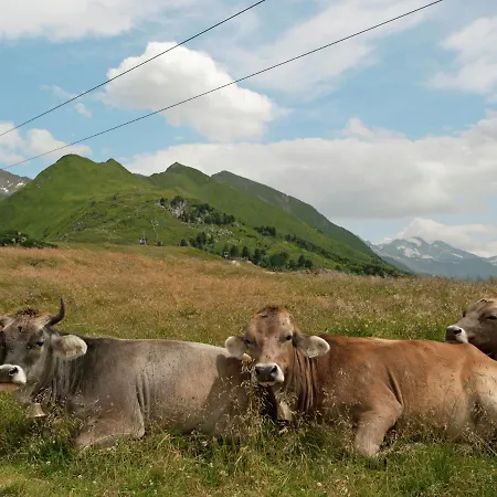 בית נופש Lovely Chalet In With Private Garden