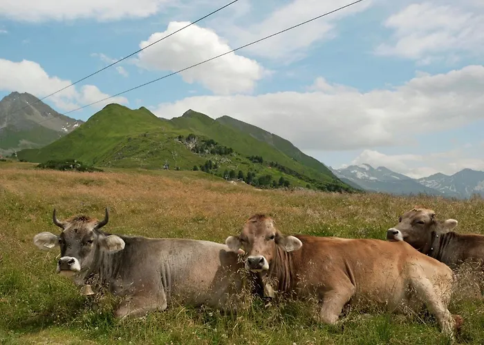 度假居 齐勒度假屋